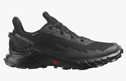 Кроссовки для бега SALOMON ALPHACROSS 4 GTX (Women) L47064100
