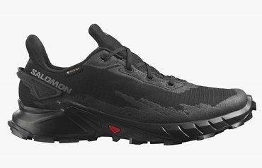Кроссовки для бега SALOMON ALPHACROSS 4 GTX (Women) L47064100