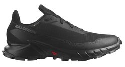 Кроссовки для бега SALOMON ALPHACROSS 5 G-TX L47307500