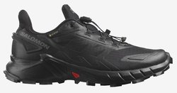 Кроссовки для бега SALOMON SUPERCROSS 4 GTX (Women) L41733900