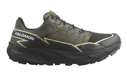 Кроссовки для бега SALOMON THUNDERCROSS GTX L47383400