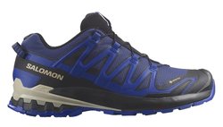 Кроссовки SALOMON XA PRO 3D V9 G-TX L47270300