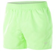 Шорты SPEEDO Fitted Leisure 13" Watershort  8-10609C758