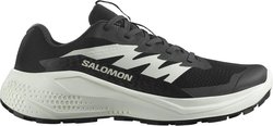 Кроссовки для бега Salomon ALPHAGLIDE W L47801500