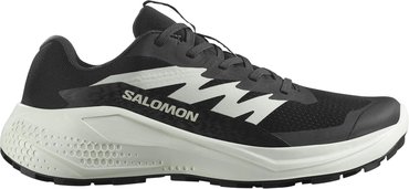 Кроссовки для бега Salomon ALPHAGLIDE W L47801500