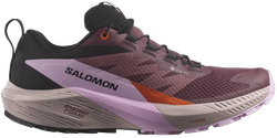 Кроссовки для бега Salomon Sense Ride 5 Gtx L47592300
