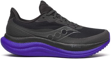 Кроссовки для бега Saucony Triumph 23 Gtx S21025 01
