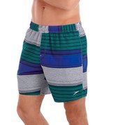 Шорты Speedo Printed 16" Watershort 8-078809017