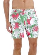 Шорты Speedo Reefspa Print Alo 16" Watershort 8-078808761