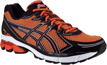 Asics GT 2170 GoreTex T21PQ 2190