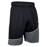 Шорты Under Armour Baseline 10" Shorts 1343004-001