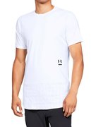 Мужская футболка Under Armour Perpetual Graphic 1321963-100