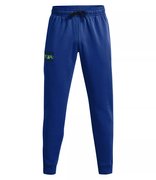 Мужские спортивные брюки Under Armour Rival Fleece Signature Joggers 1366366-432