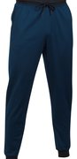 Мужские спортивные брюки Under Armour Sportstyle Jogger 1290261-408