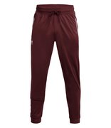 Мужские спортивные брюки Under Armour Sportstyle Jogger 1290261-690