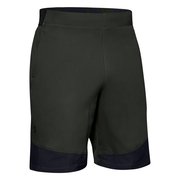 Мужские шорты для бега Under Armour Vanish Woven Short 1328654-310