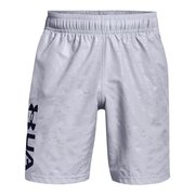 Шорты Under Armour Woven Emboss Shorts 1361432-011
