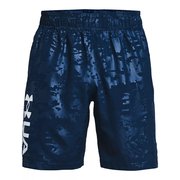 Шорты Under Armour Woven Emboss Shorts 1361432-408