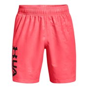 Шорты Under Armour Woven Emboss Shorts 1361432-628