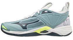 Волейбольные кроссовки Mizuno WAVE MOMENTUM 2 V1GA2112-38