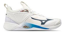 Волейбольные кроссовки Mizuno WAVE MOMENTUM 2 V1GA2113-00