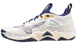 Волейбольные кроссовки Mizuno WAVE MOMENTUM 3 V1GA2312-43