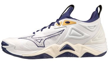 Волейбольные кроссовки Mizuno WAVE MOMENTUM 3 V1GA2312-43