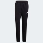 Брюки спортивные Adidas Z.N.E. Sportwear Pants GT9781