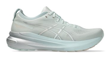 Мужские кроссовки для бега Asics Gel-Kayano 31 1011B867 302