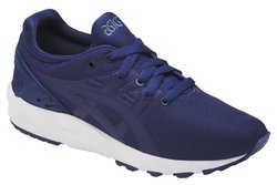 Детские кроссовки Asics Gel-Kayano Trainer Evo GS (Junior) C7A0N-4949