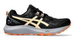 Кроссовки для бега Asics Gel Sonoma 6 (Women) 1012B413 003