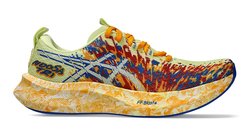 Кроссовки для бега Asics Noosa Tri 16 1011B872 751