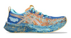 Полумарафонки Asics Noosa Tri 16 (Women) 1012B675 400