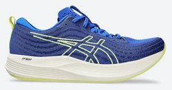Мужские кроссовки для бега ASICS Evoride Speed 1011B612-401