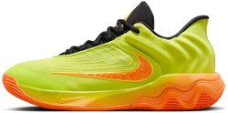 Баскетбольные кроссовки Nike GIANNIS IMMORTALITY 4 FQ3680-301