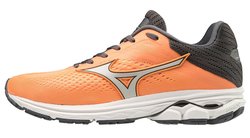 Кроссовки MIZUNO WAVE RIDER 23 (Women) J1GD1903-46