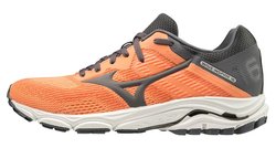 Кроссовки для бега Mizuno Wave Inspire 16 (Women) J1GD2044-36