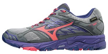 Кроссовки для бега Mizuno Wave Mujin 4 GoreTex (Women)  J1GK1757-60