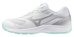 Волейбольные кроссовки Mizuno Cyclone Speed 5 (Women) V1GC2580-45