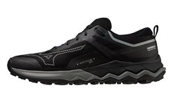 Кроссовки для бега Mizuno Wave Ibuki 4 GoreTex Black J1GJ2259-01