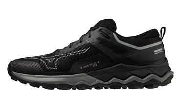 Кроссовки для бега Mizuno Wave Ibuki 4 GoreTex Black J1GJ2259-01
