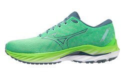 Кроссовки для бега Mizuno Wave Inspire 19 J1GC2344-05