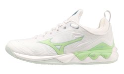 Волейбольные кроссовки Mizuno Wave Luminous 2 (Women) V1GC2120-35
