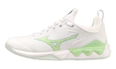 Волейбольные кроссовки Mizuno Wave Luminous 2 (Women) V1GC2120-35