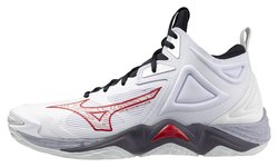 Мужские волейбольные кроссовки MIZUNO WAVE MOMENTUM 3 MID V1GA2317-96