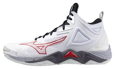 Мужские волейбольные кроссовки MIZUNO WAVE MOMENTUM 3 MID V1GA2317-96