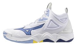 Мужские волейбольные кроссовки MIZUNO WAVE MOMENTUM 3 MID V1GA2317-97
