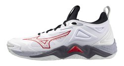 Волейбольные мужские кроссовки Mizuno Wave Momentum 3 V1GA2312-96