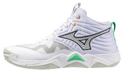 Волейбольные кроссовки Mizuno Wave Momentum Elite Mid V1GA2517-21