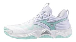 Волейбольные кроссовки Mizuno Wave Momentum Elite (Women) V1GC2512-45